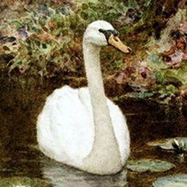 a cropped swan from a realistic painting
